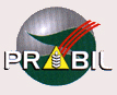 logo_prabil